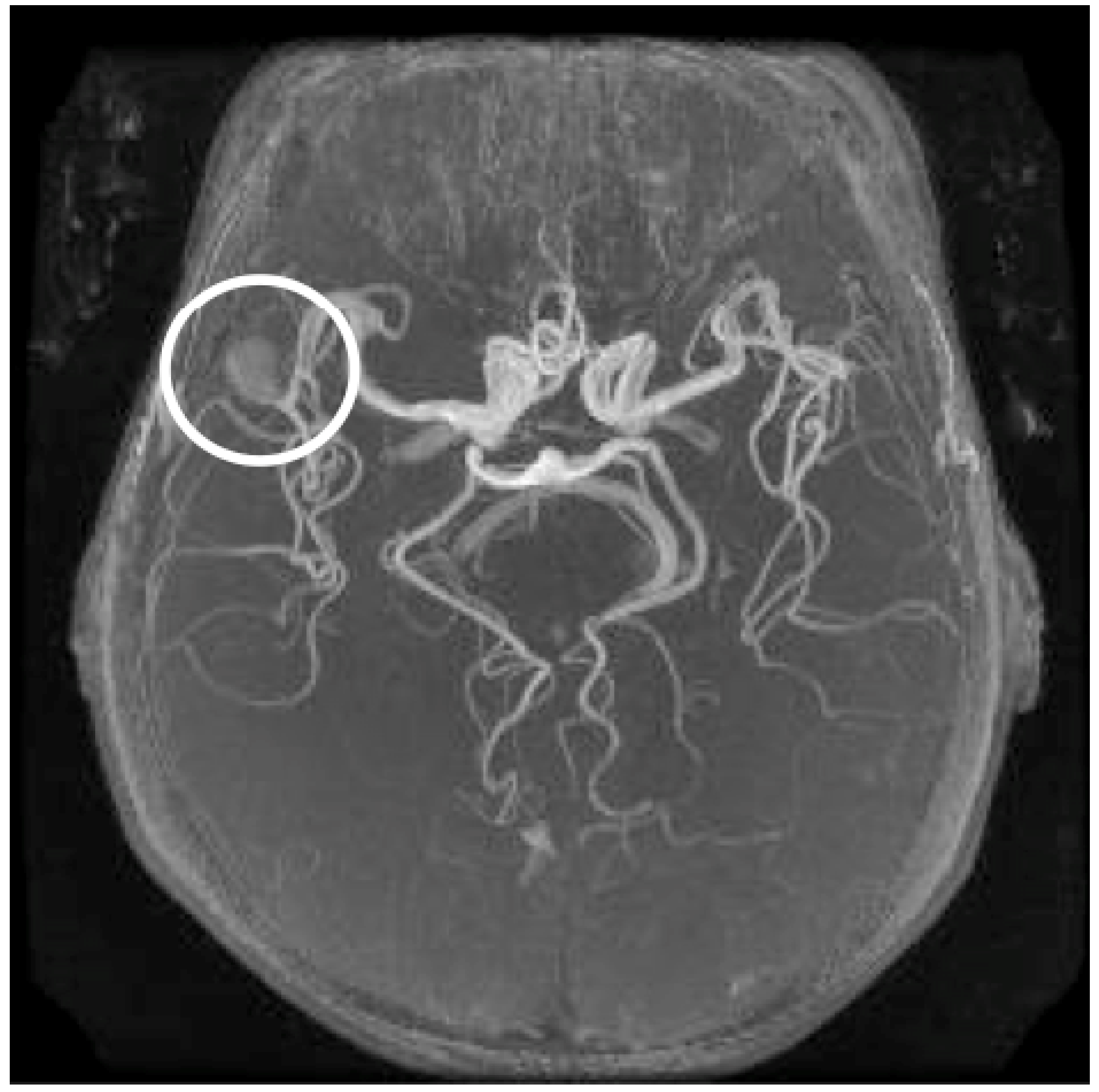 Algorithms 02 00925 g001