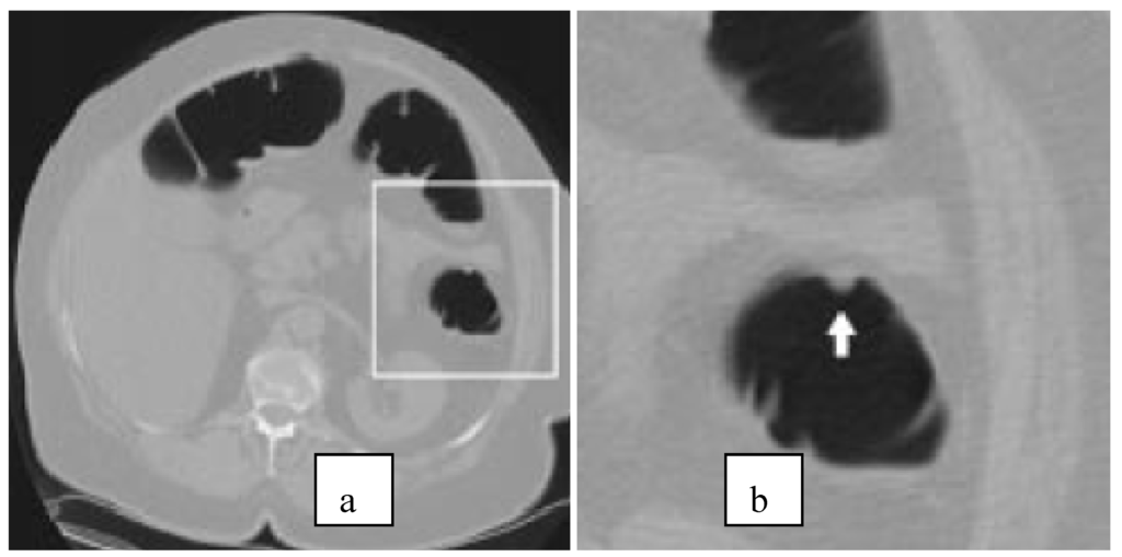 Algorithms 03 00001 g003 1024