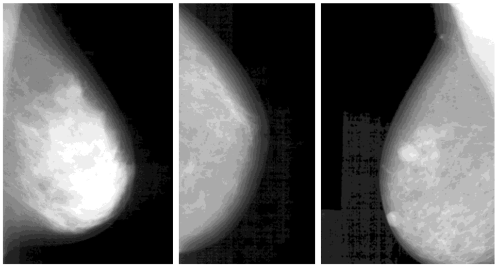 Algorithms 05 00318 g003 1024