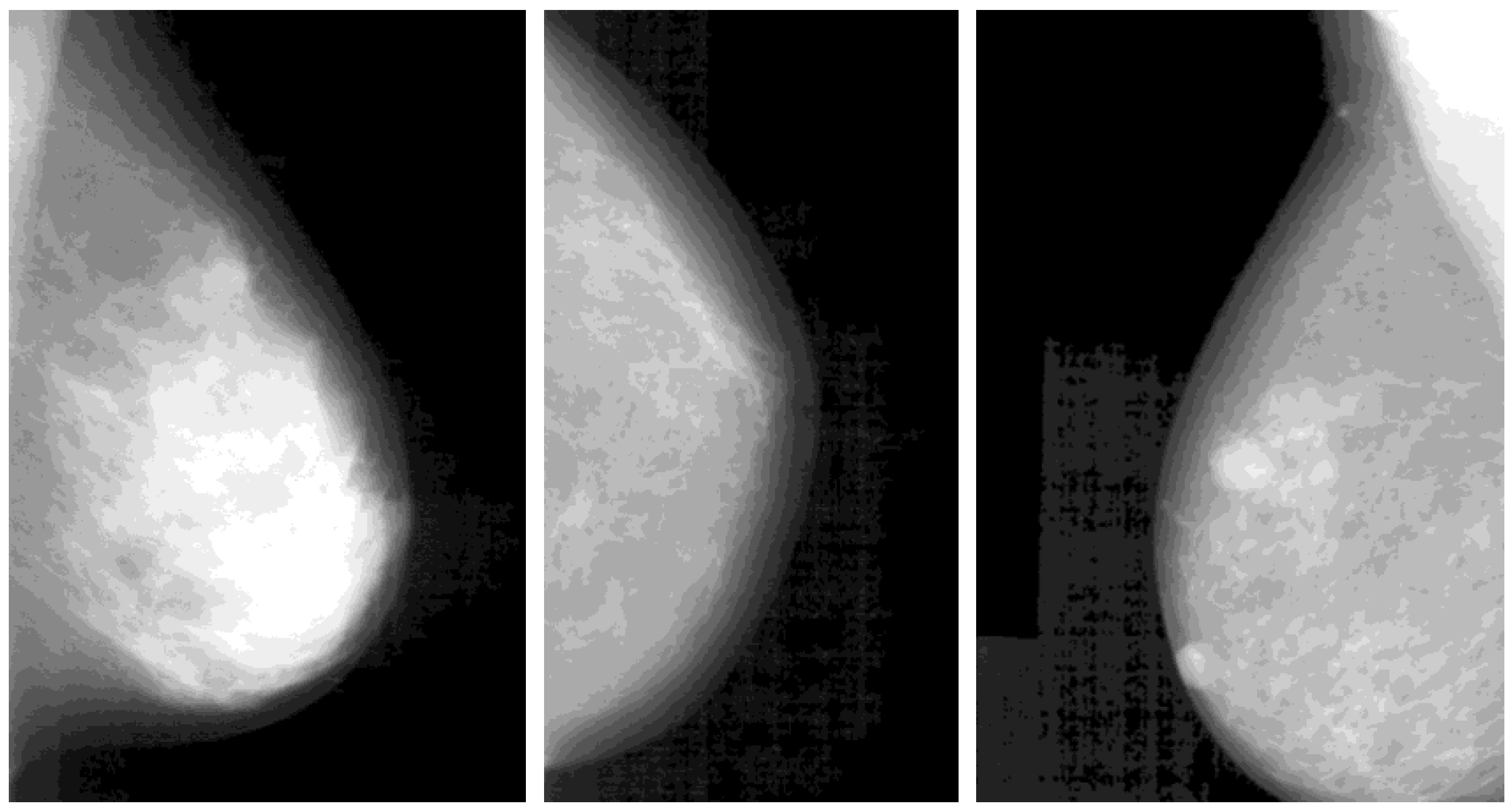 Algorithms 05 00318 g003