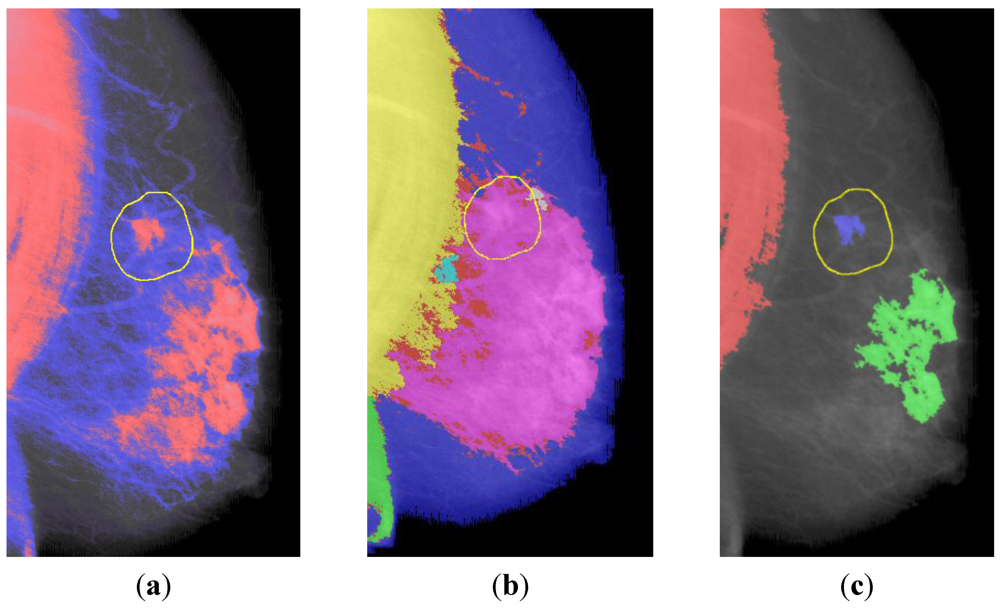 Algorithms 05 00318 g006