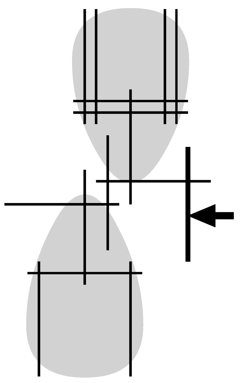 Algorithms 06 00060 g008 1024