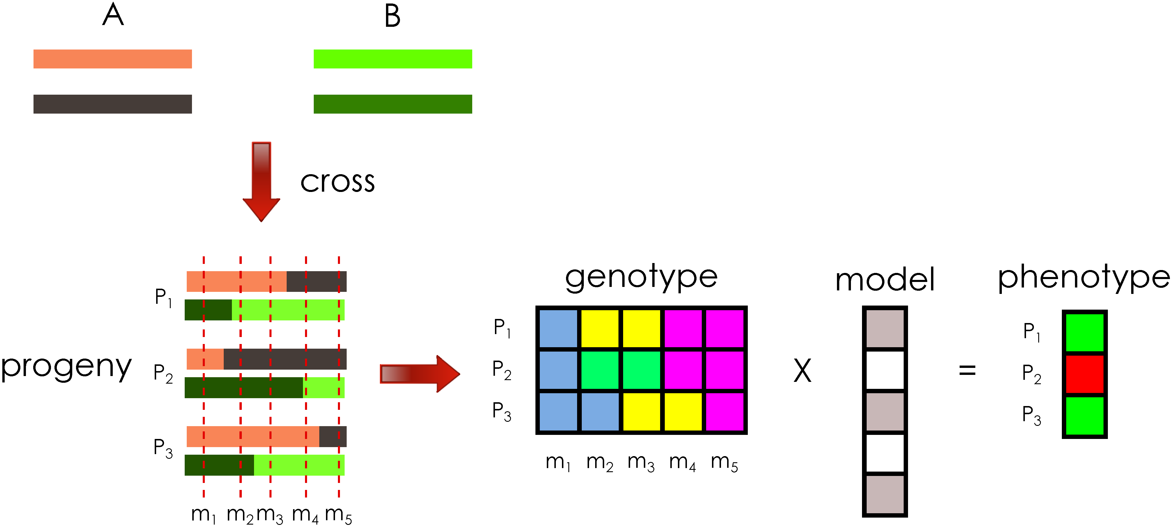 Algorithms 06 00430 g001
