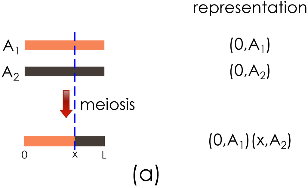 Algorithms 06 00430 g002a 1024
