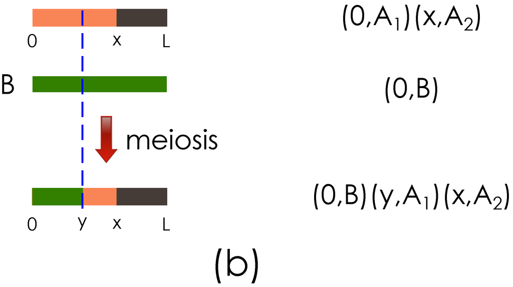 Algorithms 06 00430 g002b 1024