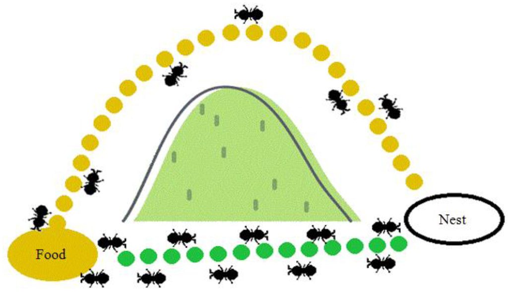 Algorithms 06 00442 g002 1024