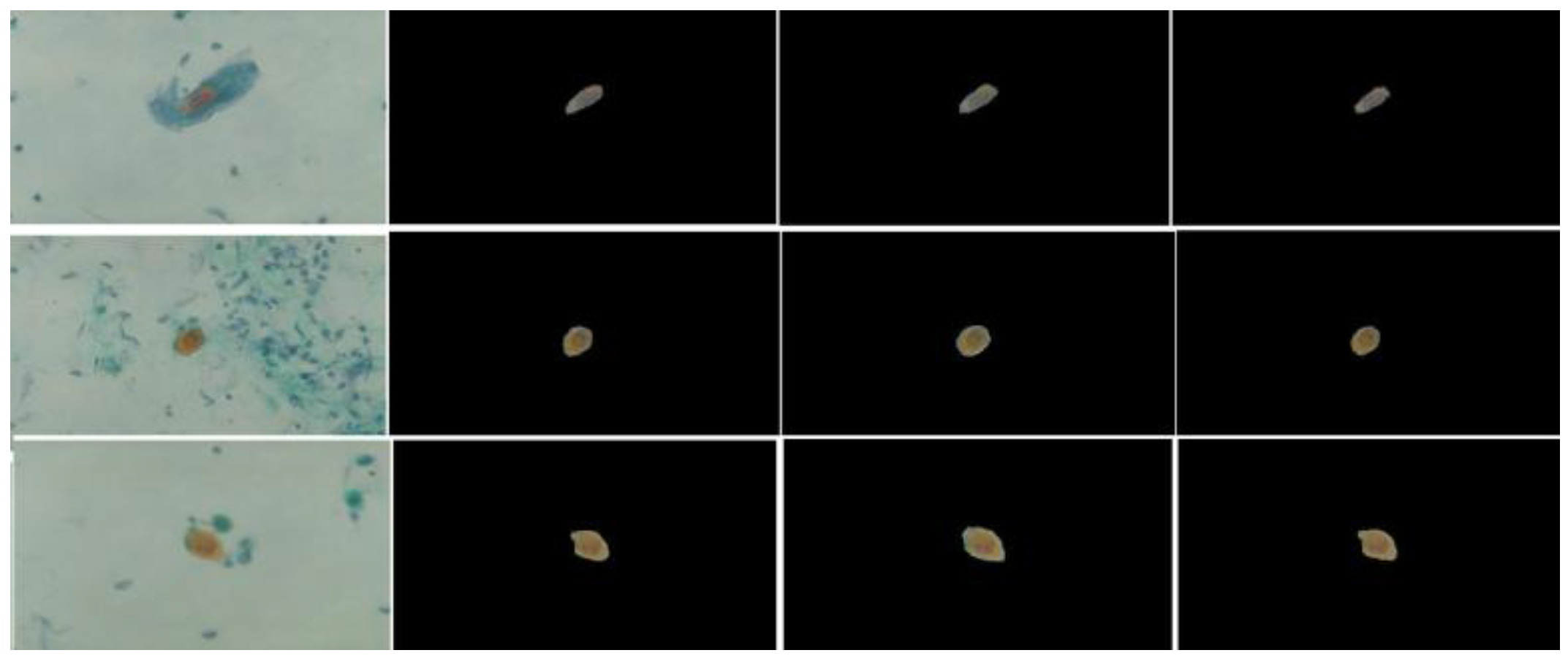 Algorithms 06 00512 g004