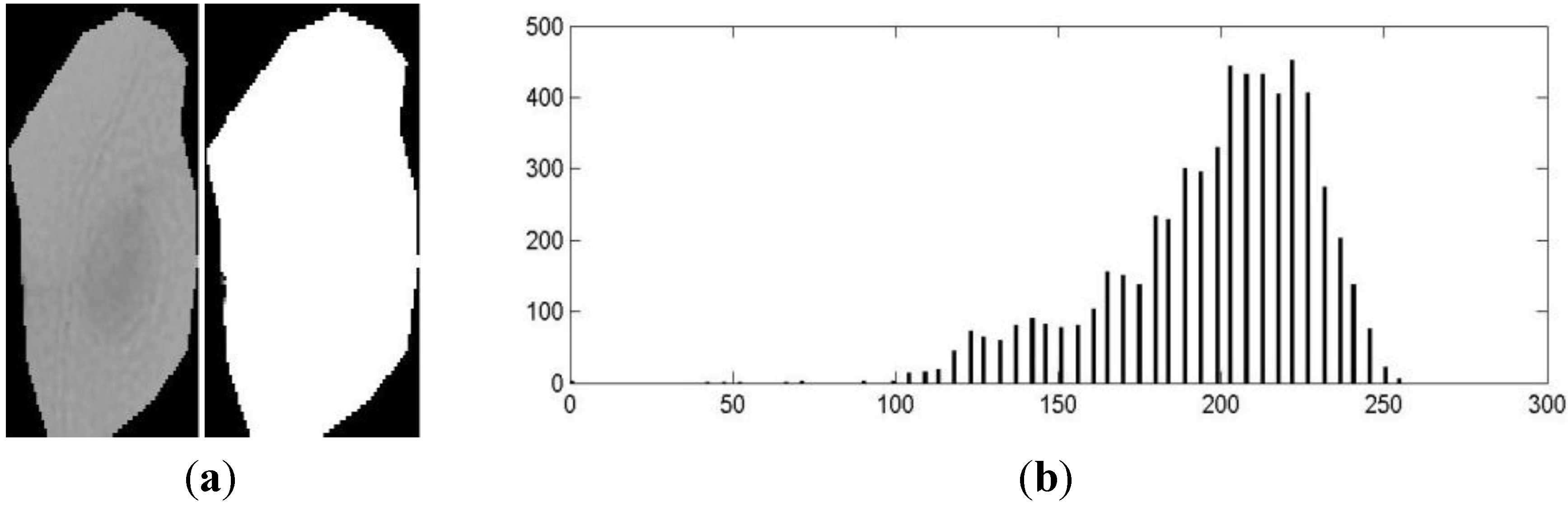 Algorithms 06 00512 g010