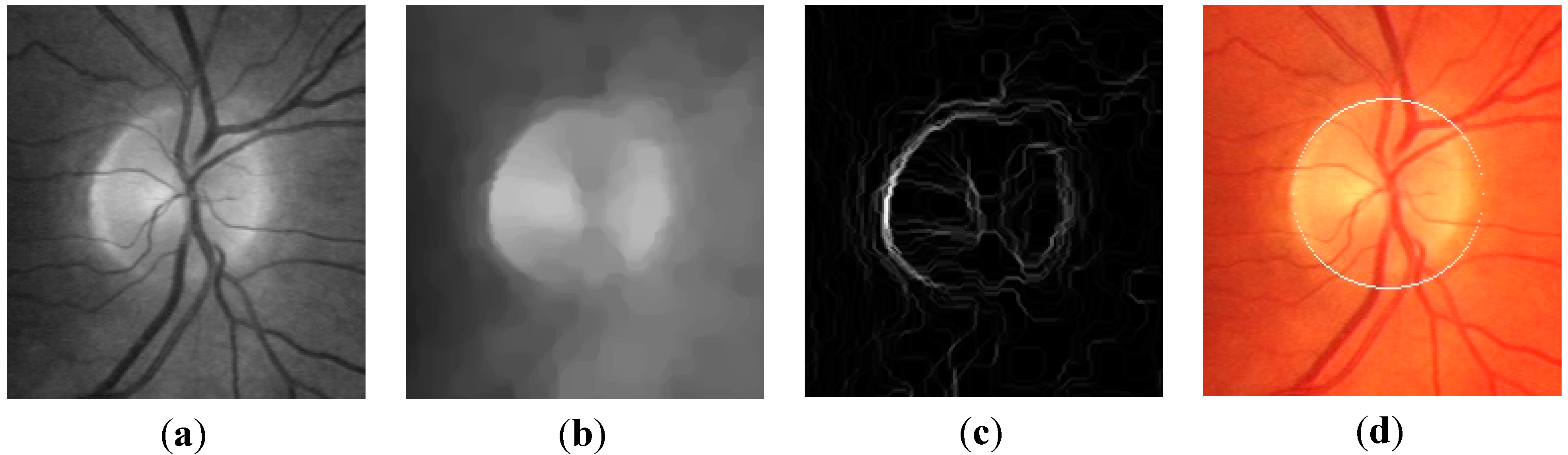 Algorithms 07 00456 g002