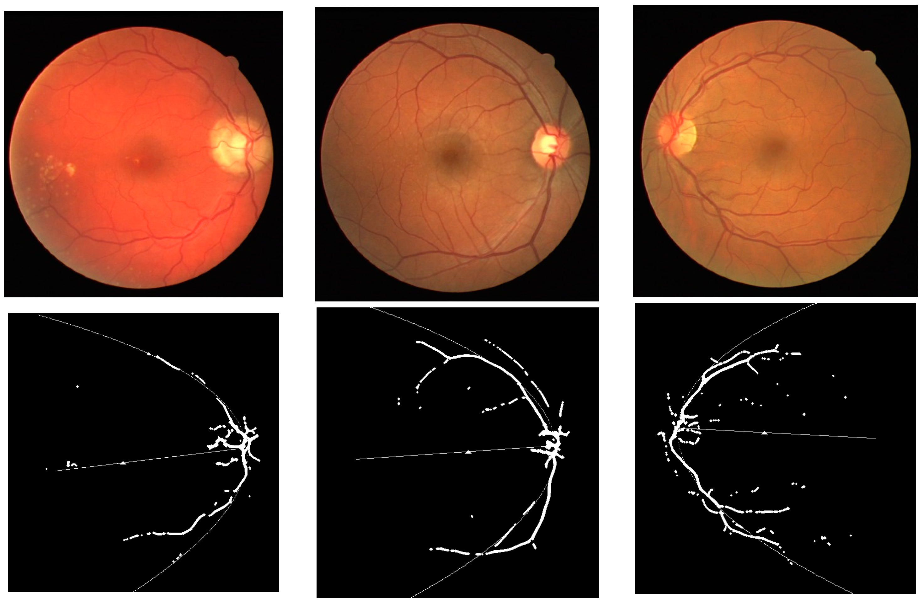 Algorithms 07 00456 g006