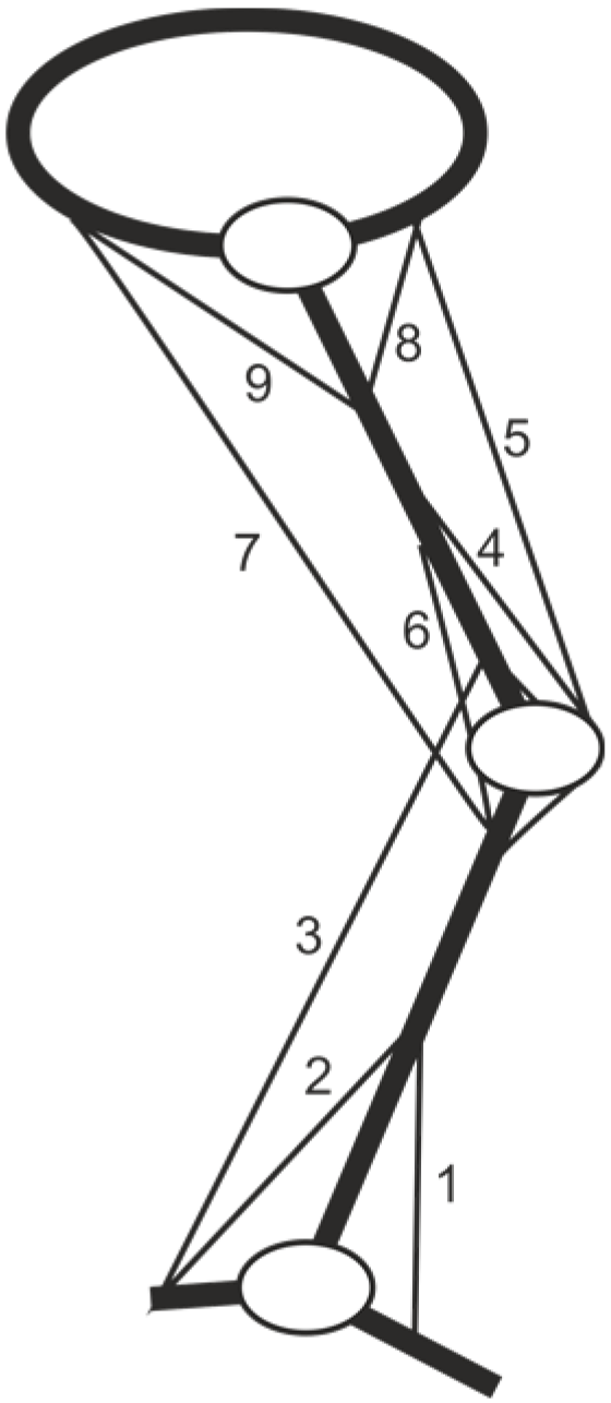 Algorithms 07 00621 g001 1024