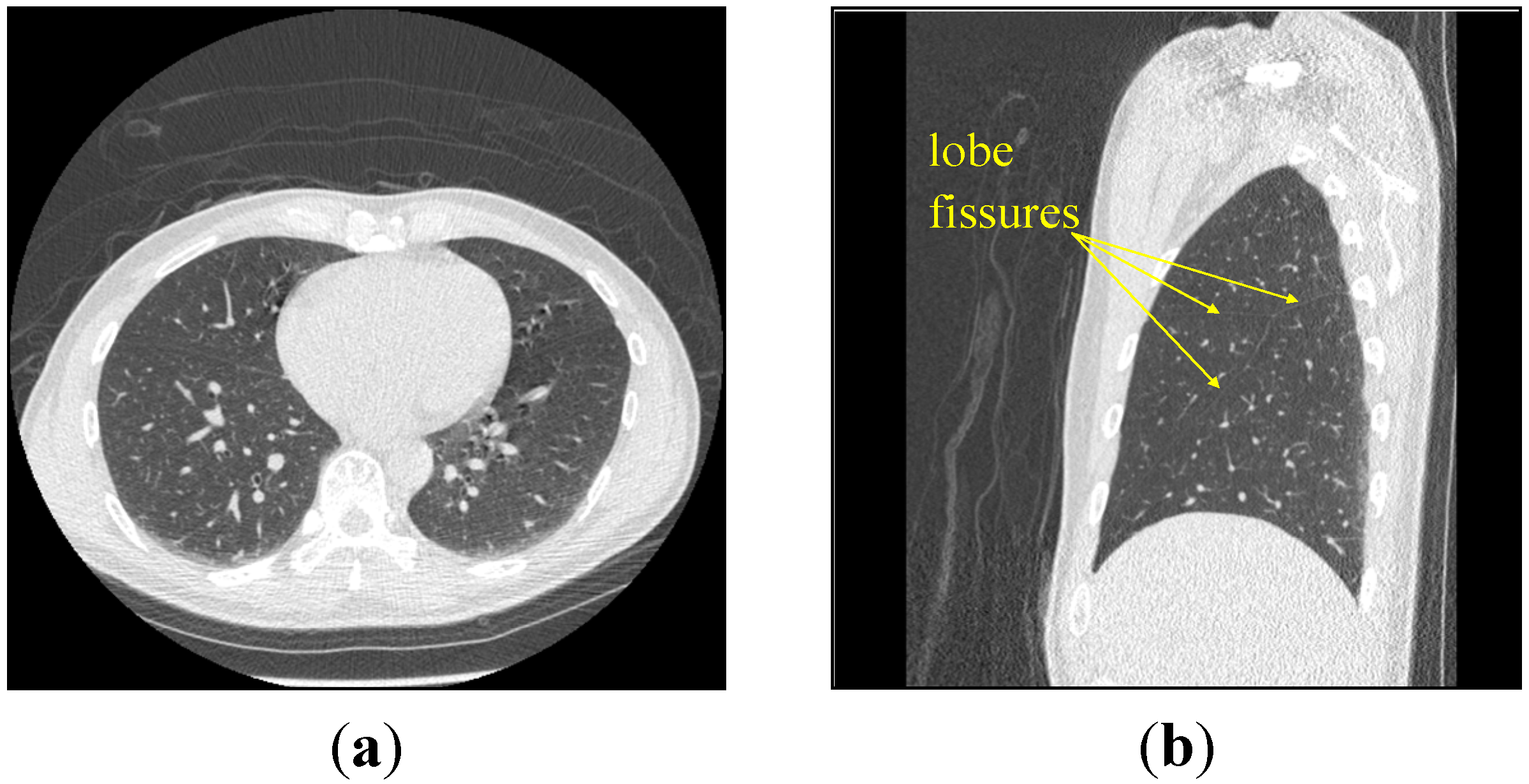 Algorithms 07 00635 g001