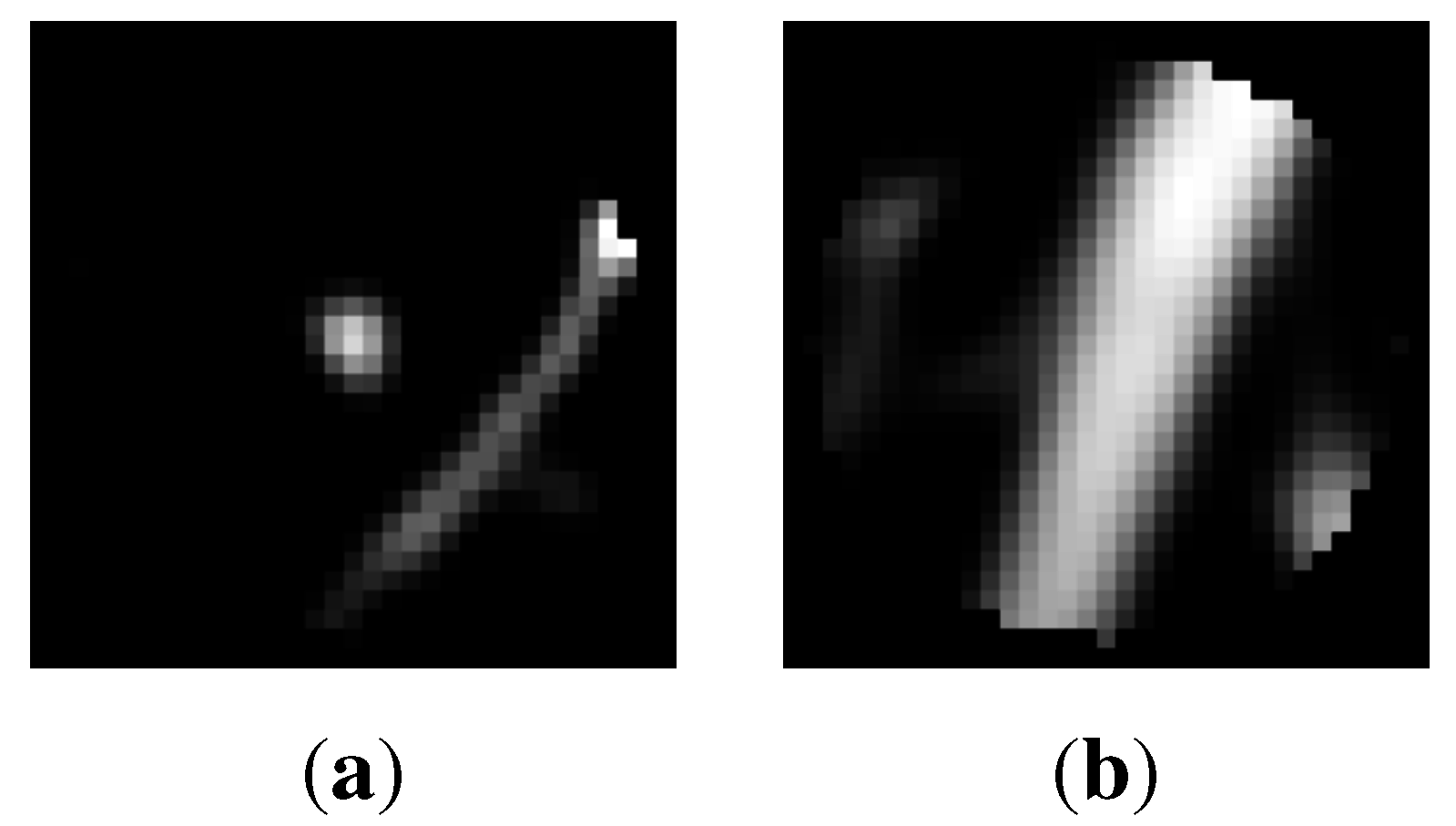 Algorithms 08 00209 g001