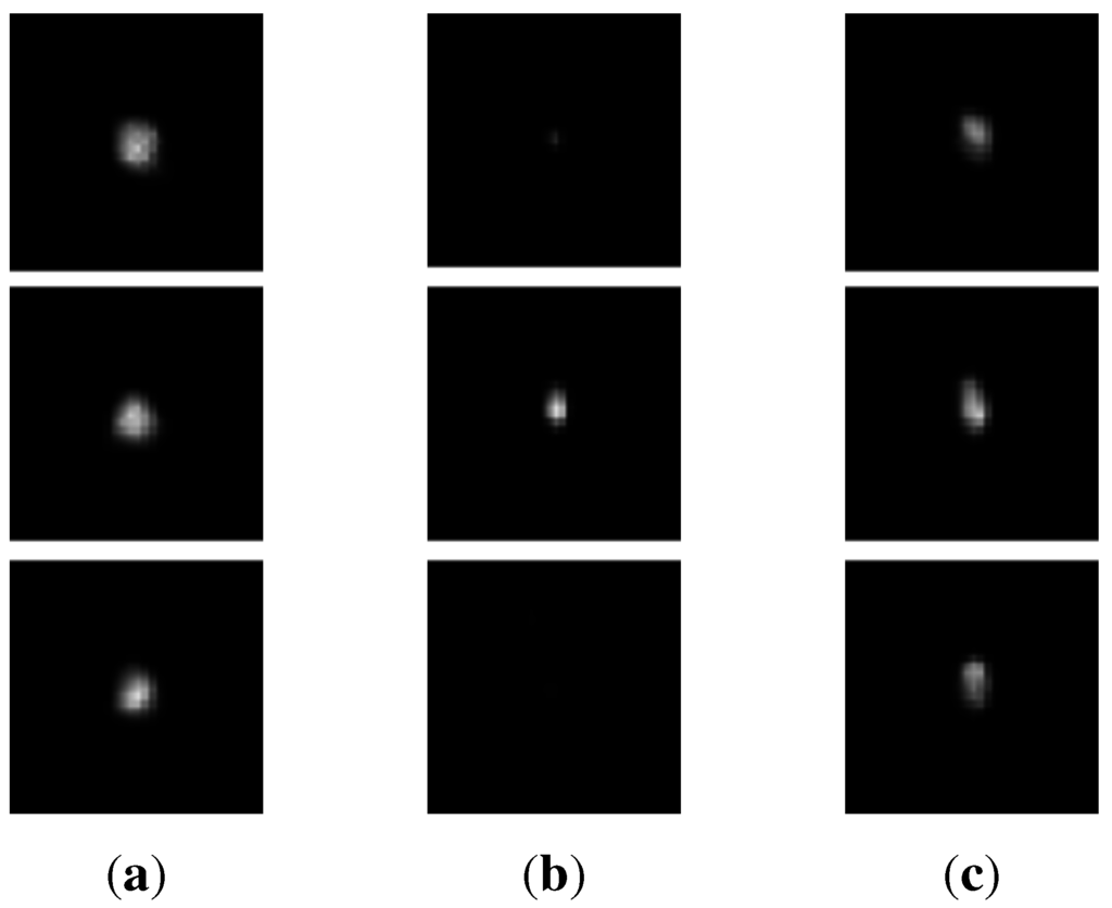 Algorithms 08 00209 g009 1024