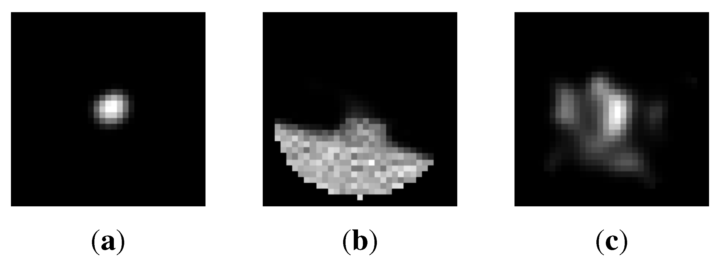 Algorithms 08 00209 g014