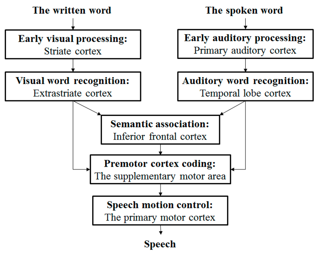 Algorithms 08 00562 g001 1024