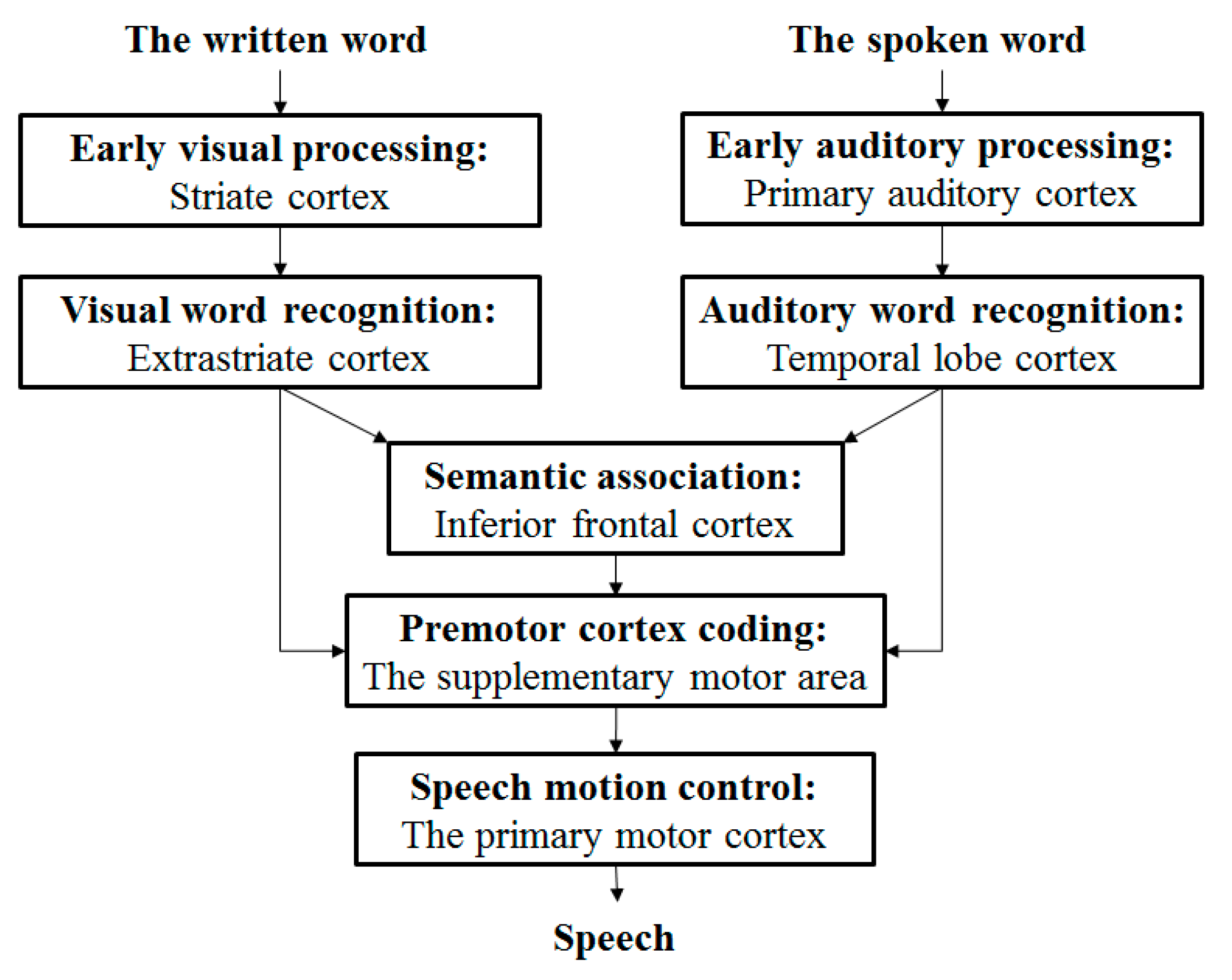 Algorithms 08 00562 g001