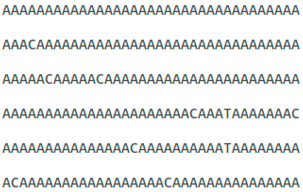 Algorithms 08 00754 g001 1024