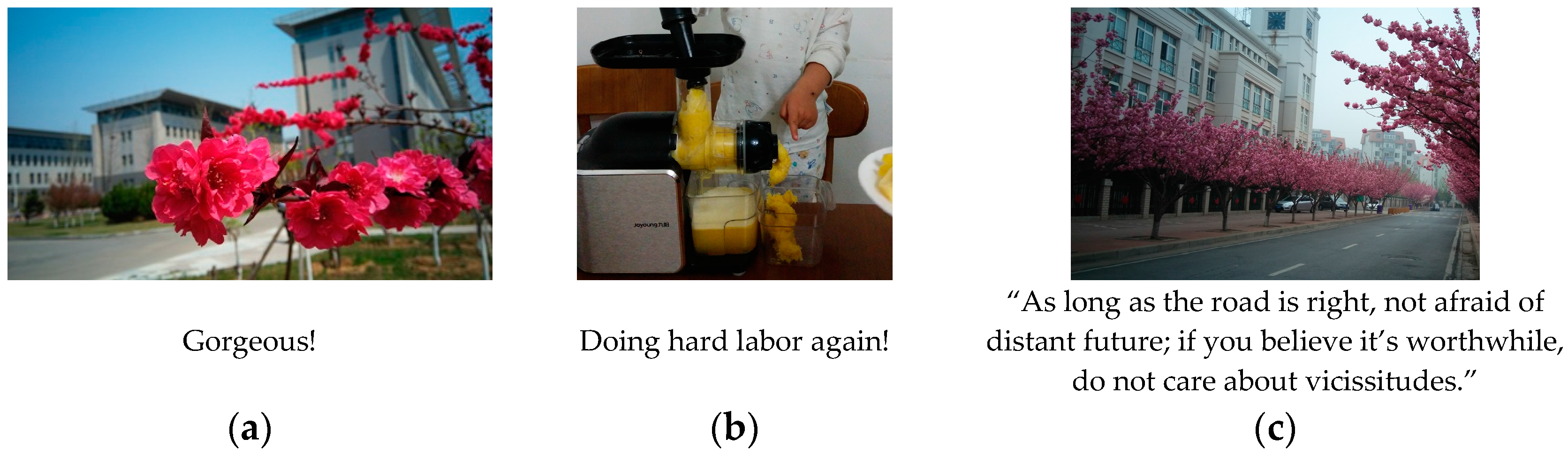 Algorithms 09 00041 g001