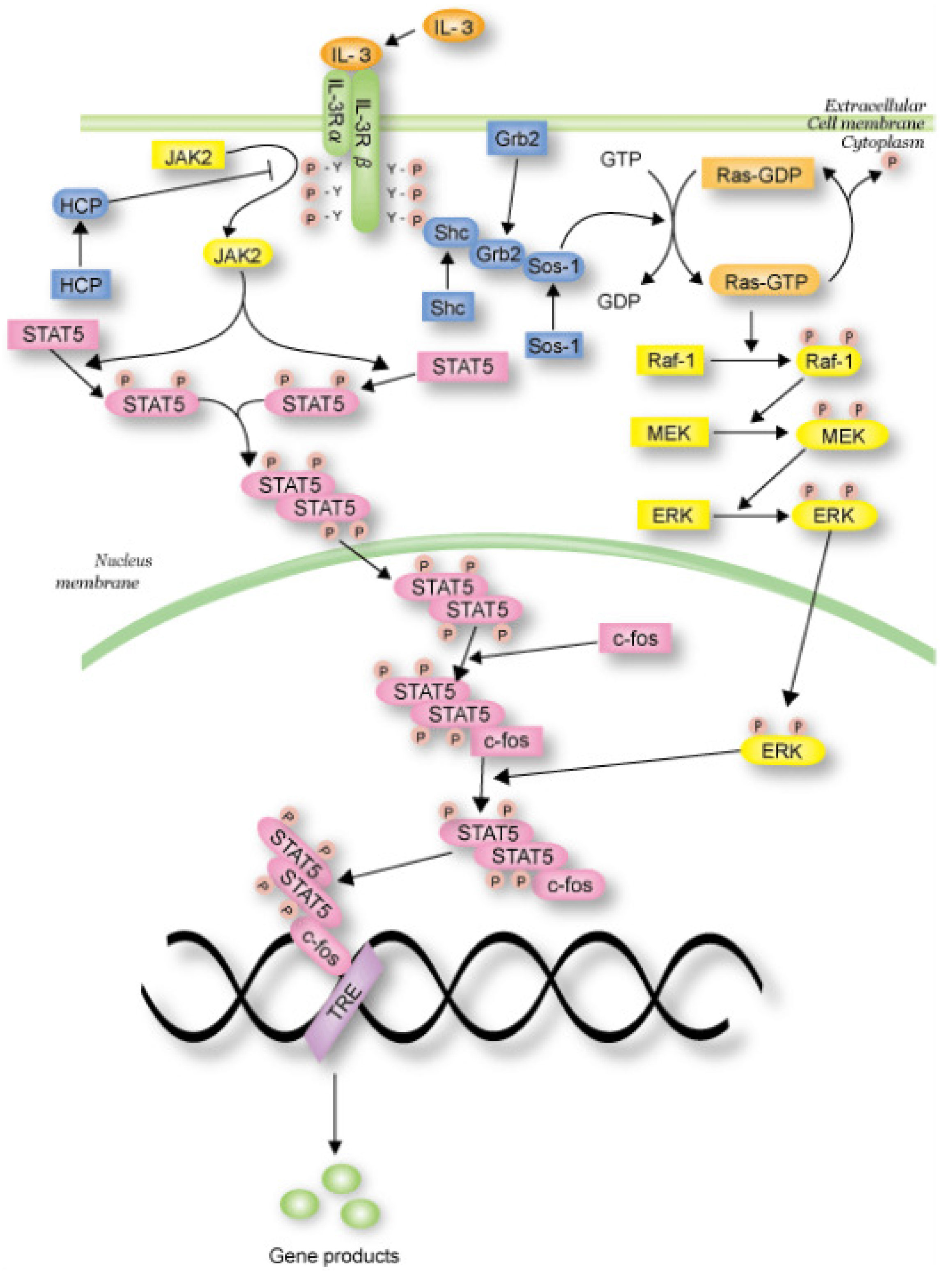 Algorithms 10 00004 g014