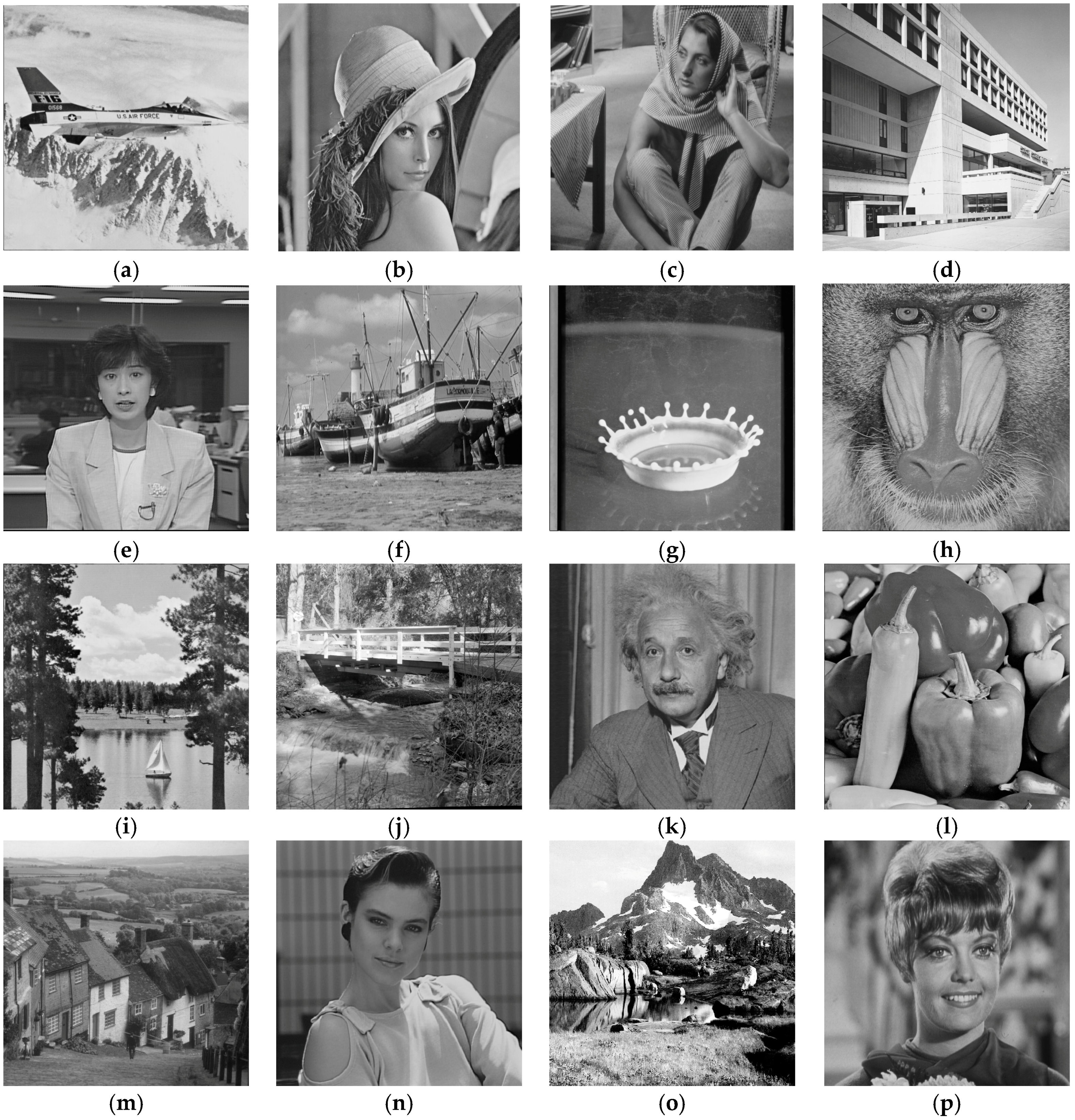 Algorithms 10 00041 g008