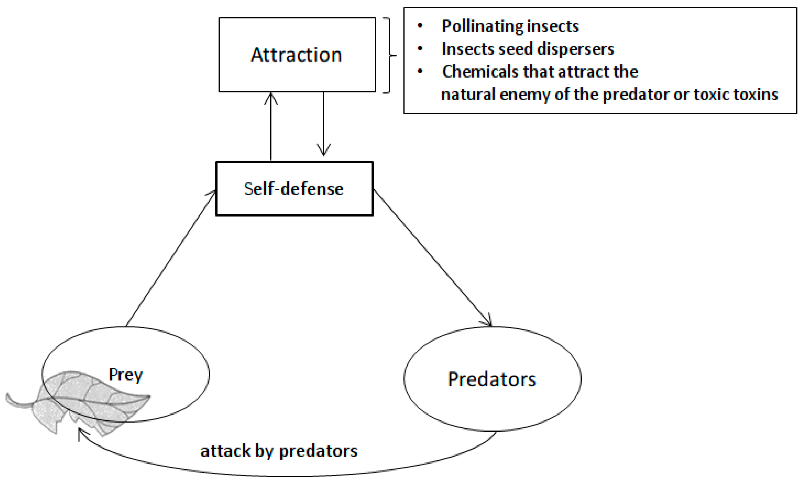 Algorithms 10 00085 g001