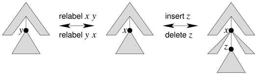 Algorithms 10 00135 i001