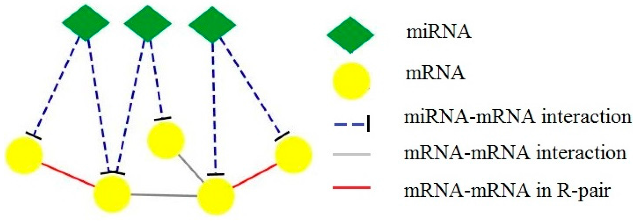 Algorithms 10 00136 g001