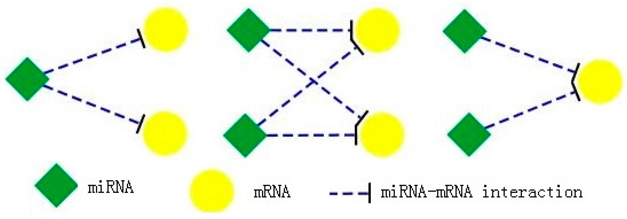 Algorithms 10 00136 g002
