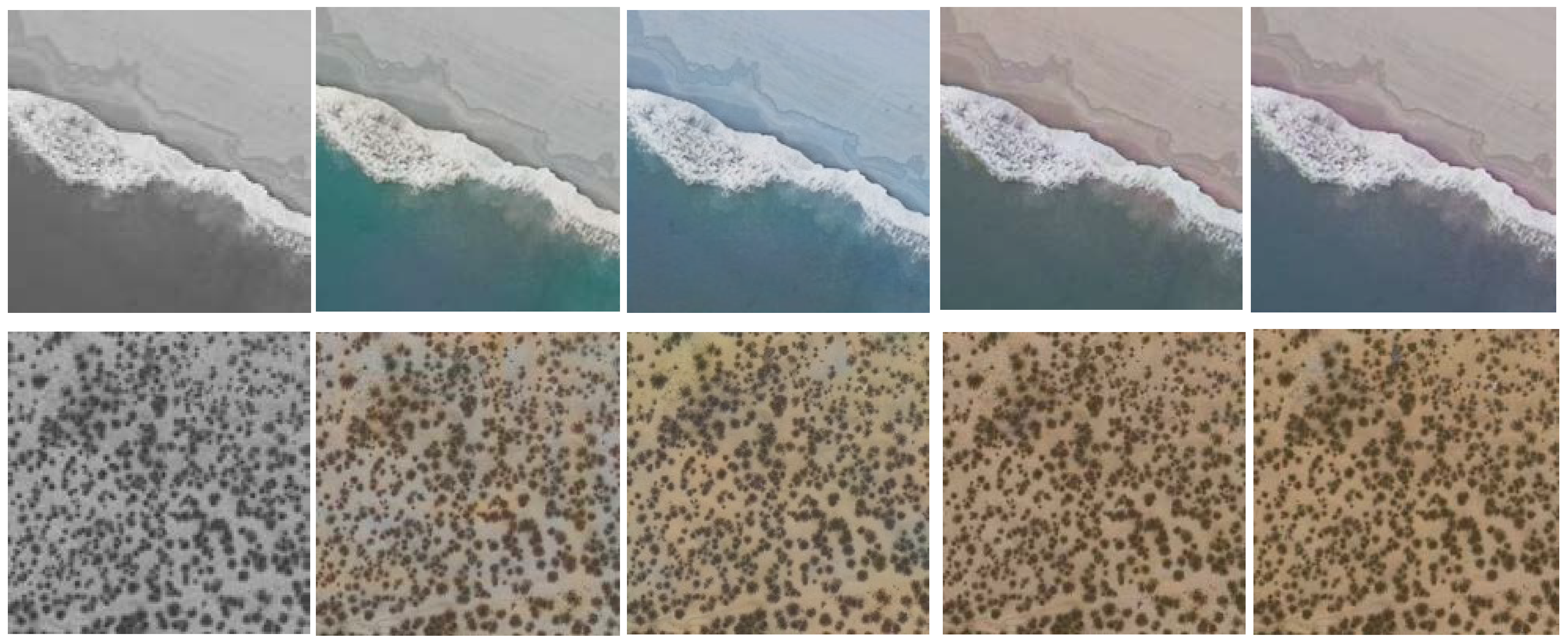 Algorithms 11 00004 g014