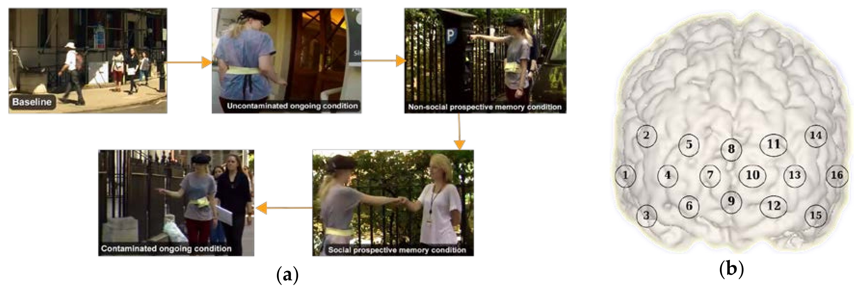 Algorithms 11 00070 g001