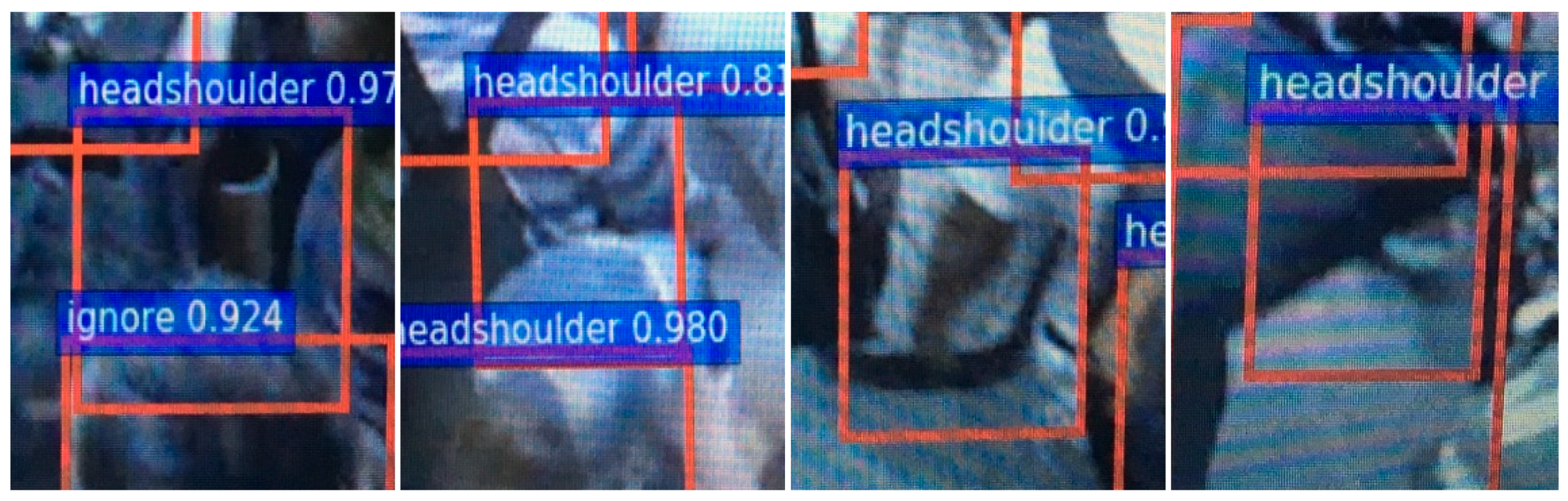 Algorithms 11 00192 g014