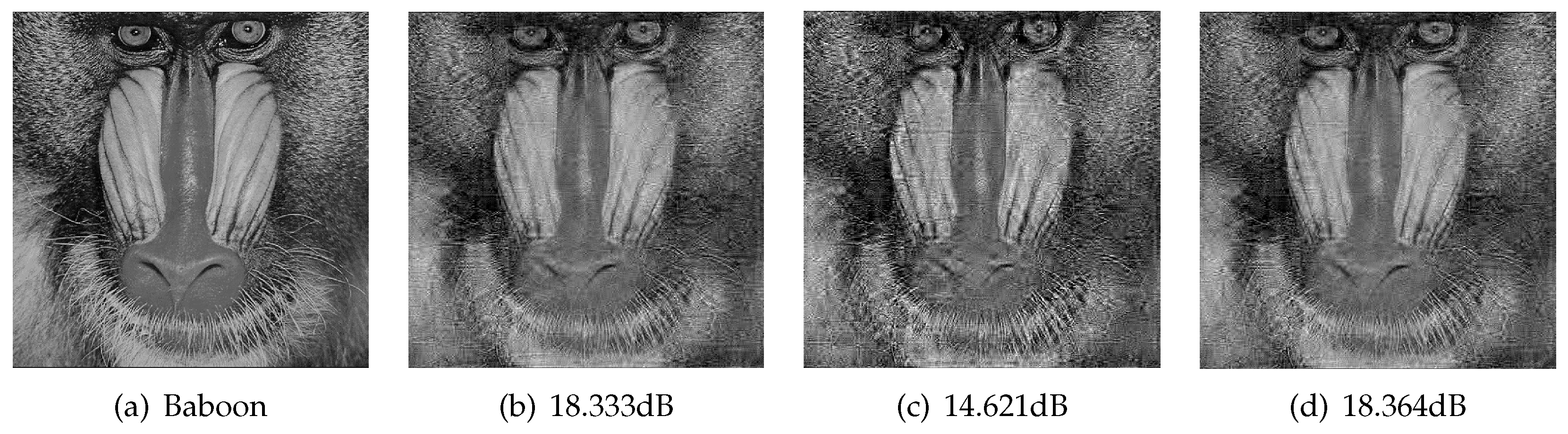 Algorithms 12 00036 g013