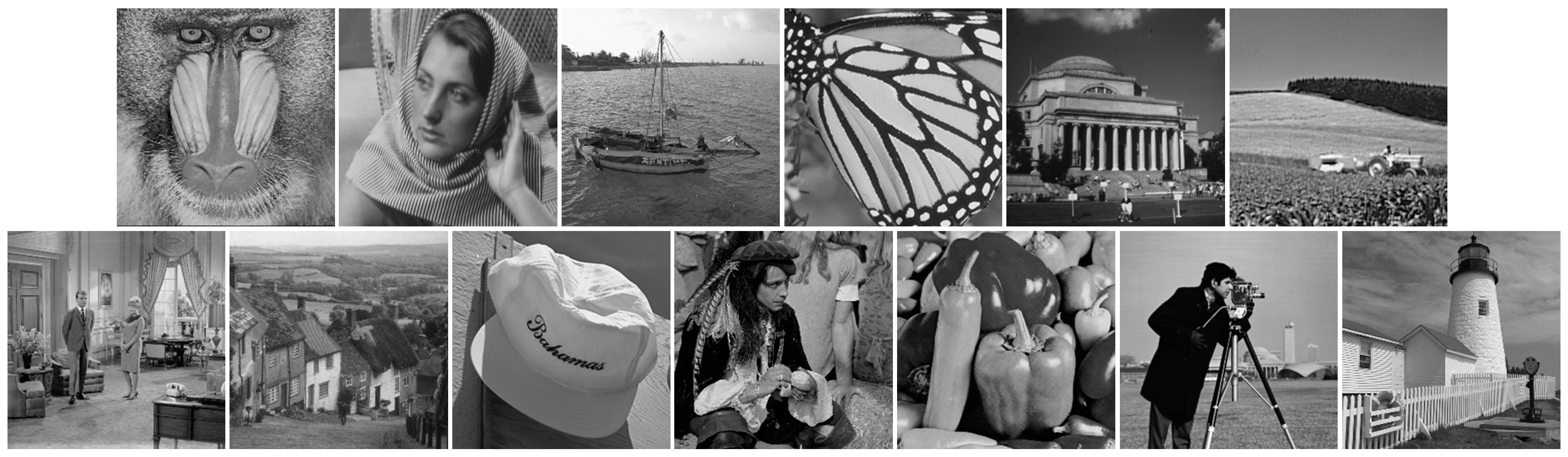 Algorithms 12 00082 g012