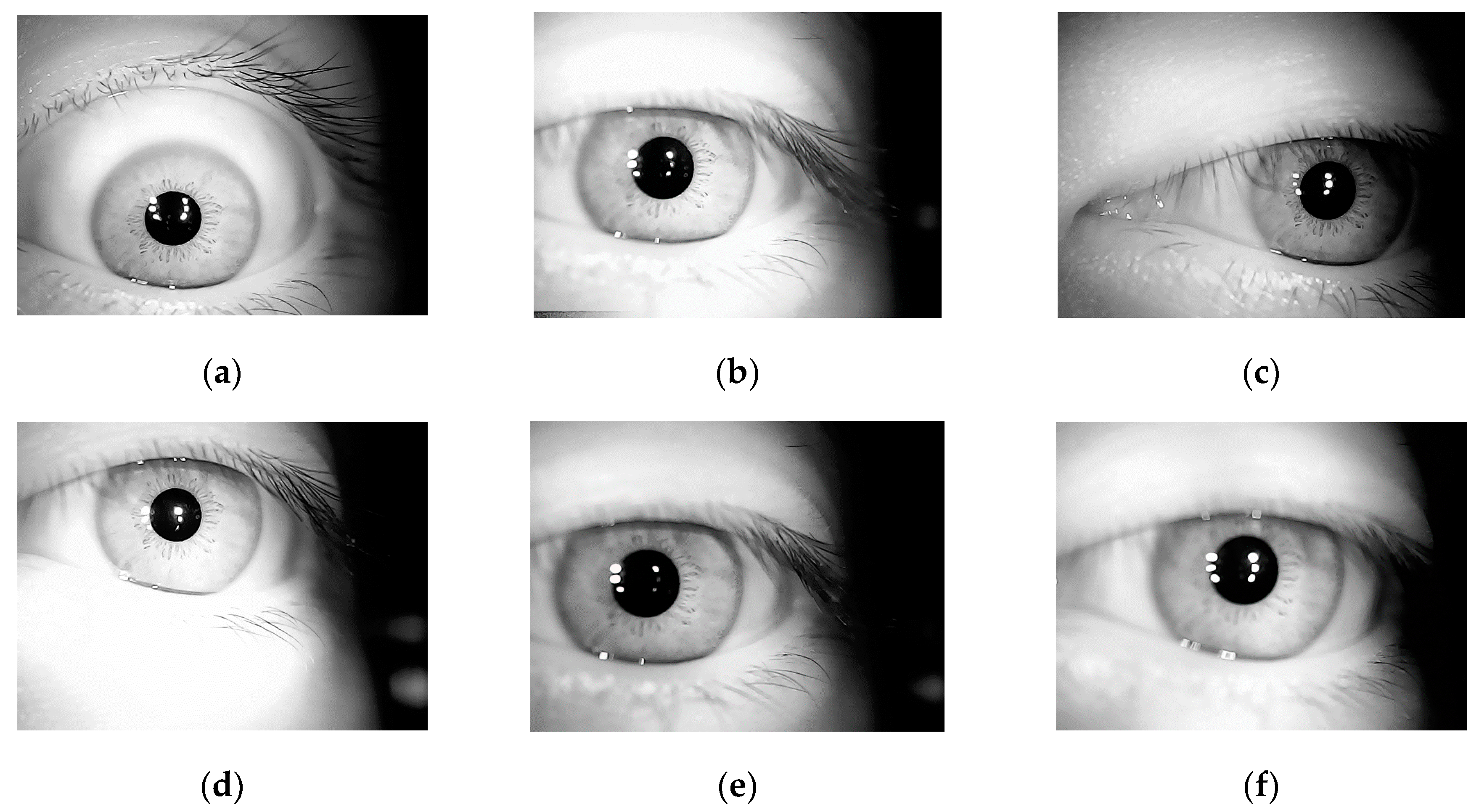Algorithms 12 00194 g003 Algorithms 12 00194 g003
