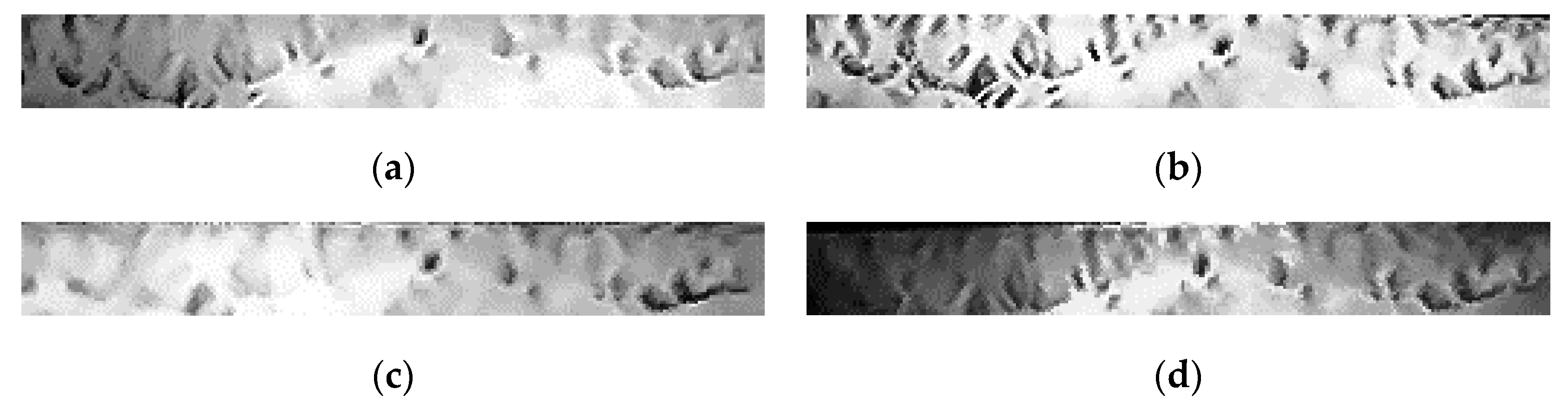 Algorithms 12 00194 g005 Algorithms 12 00194 g005