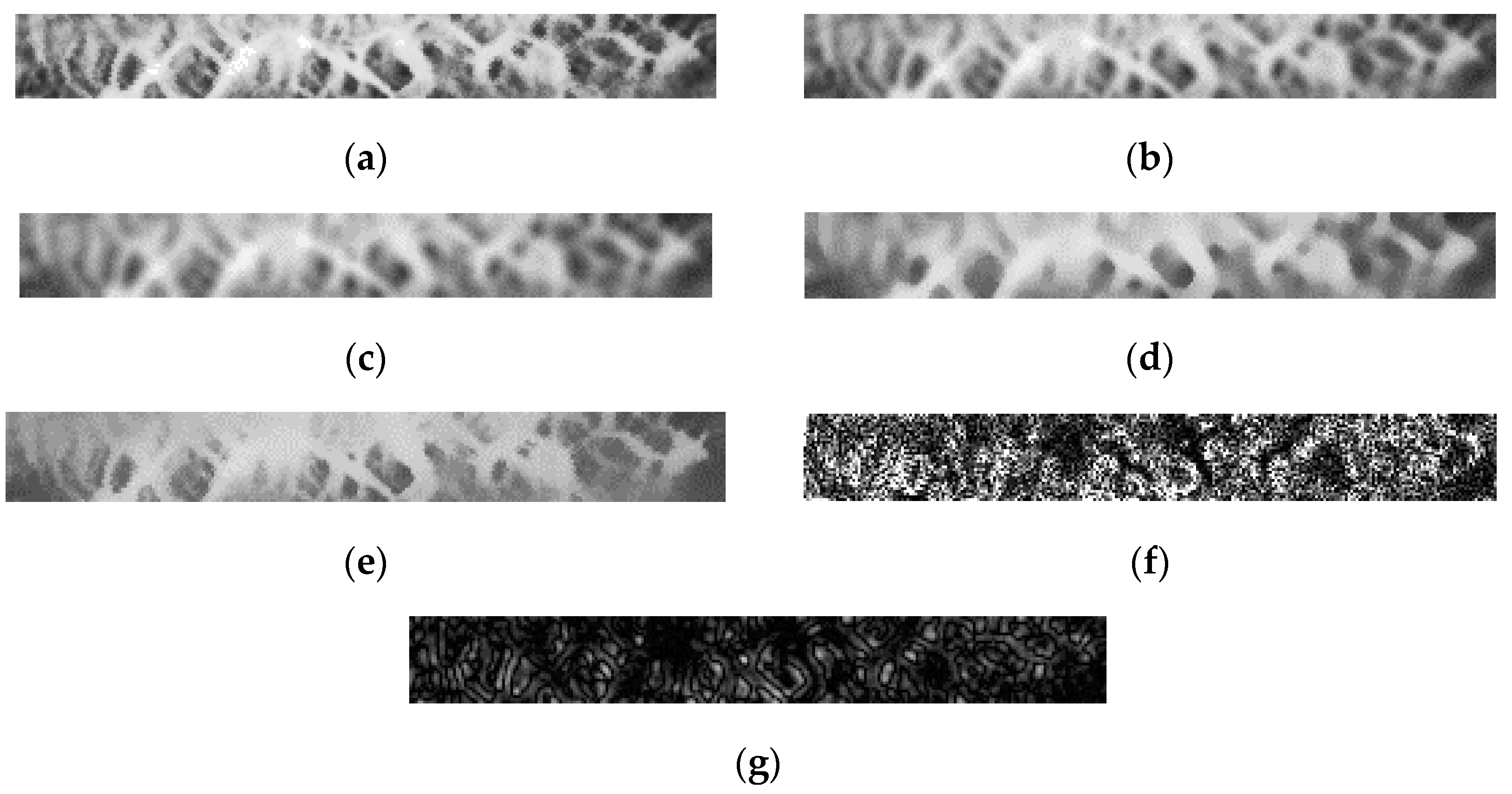Algorithms 12 00194 g007 Algorithms 12 00194 g007