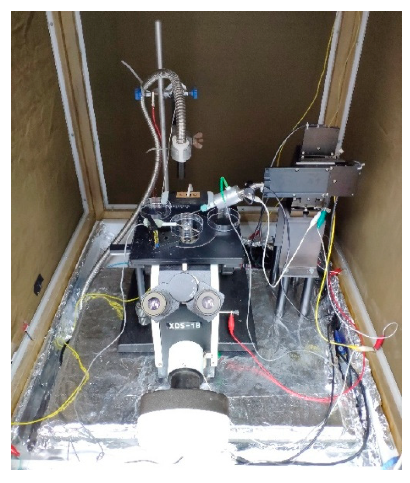 Algorithms 12 00238 g003