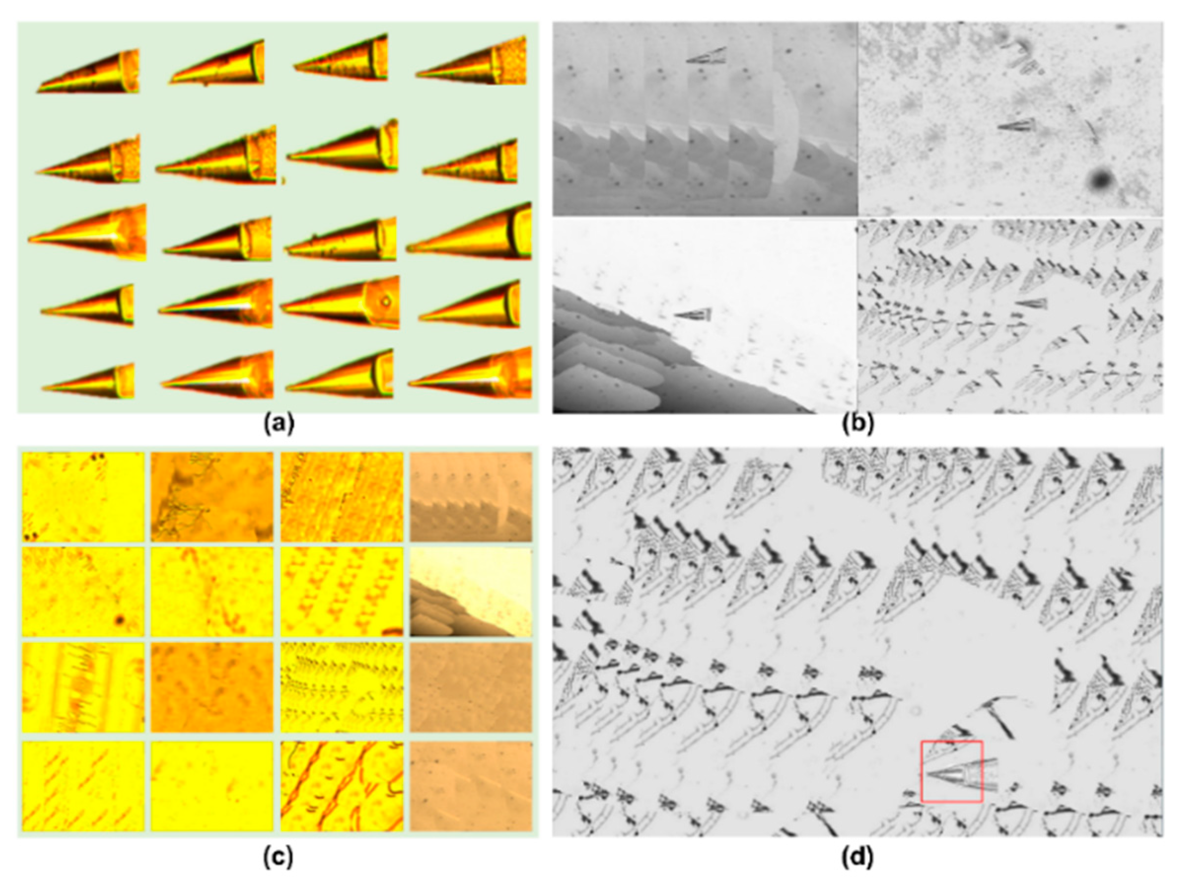 Algorithms 12 00238 g005