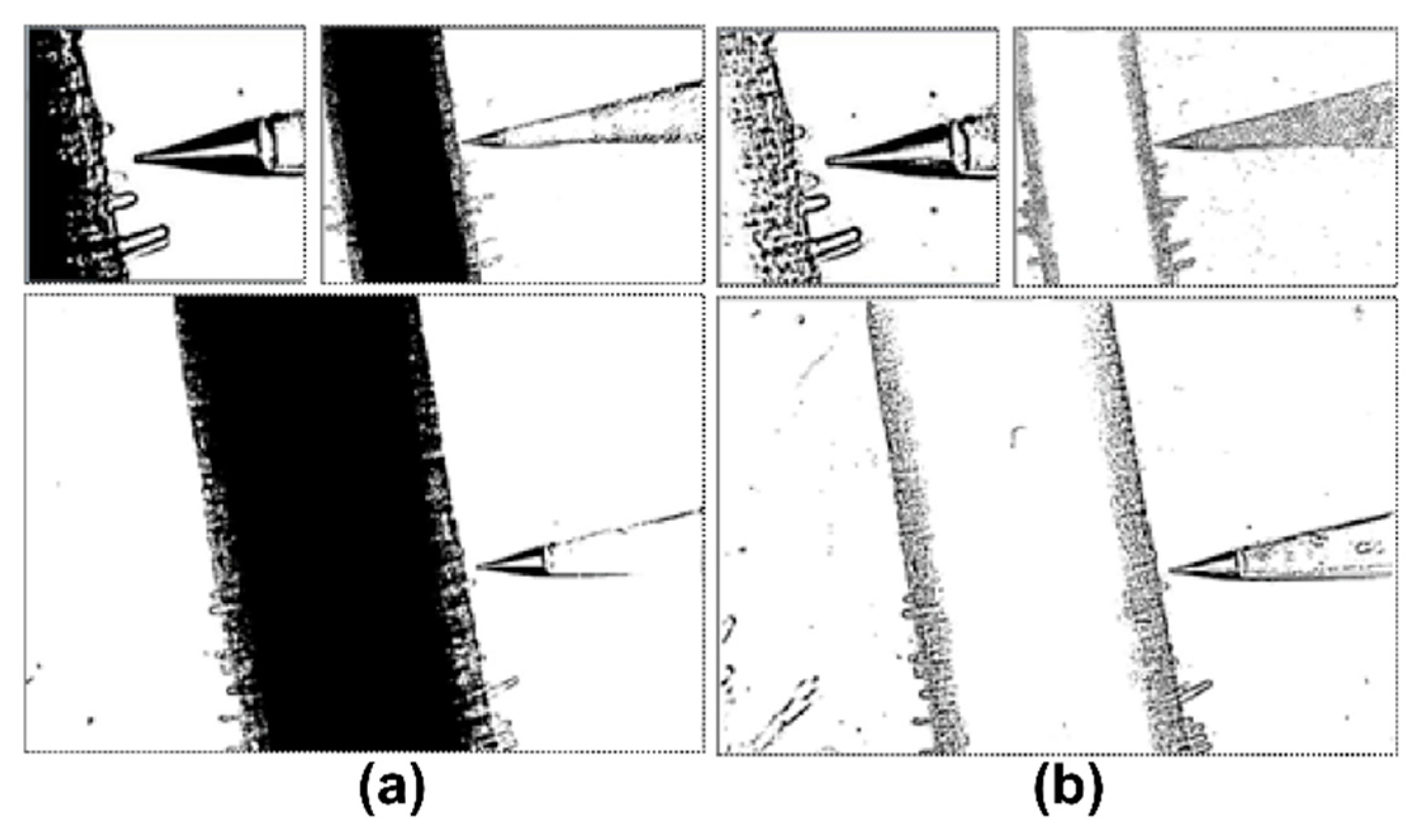 Algorithms 12 00238 g010