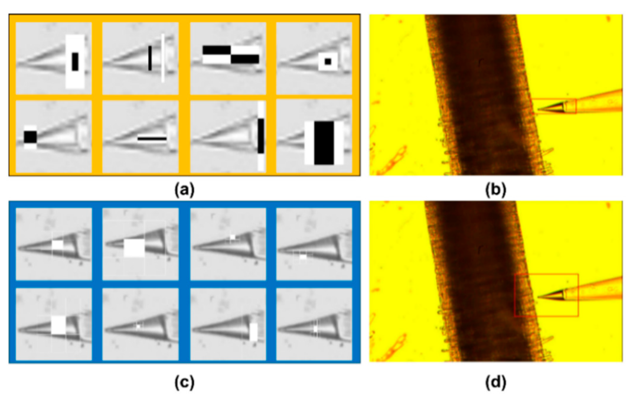 Algorithms 12 00238 g012