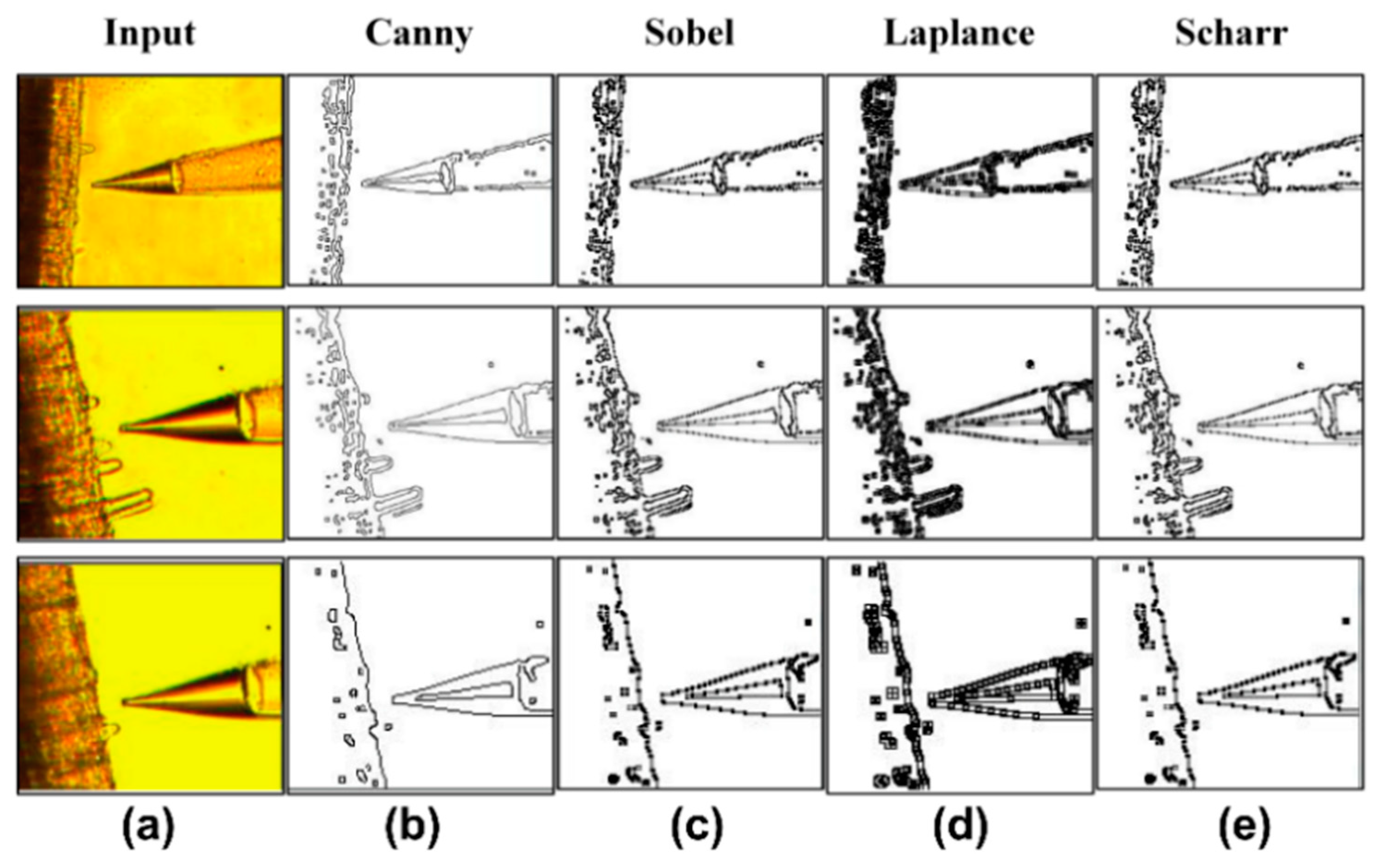 Algorithms 12 00238 g014