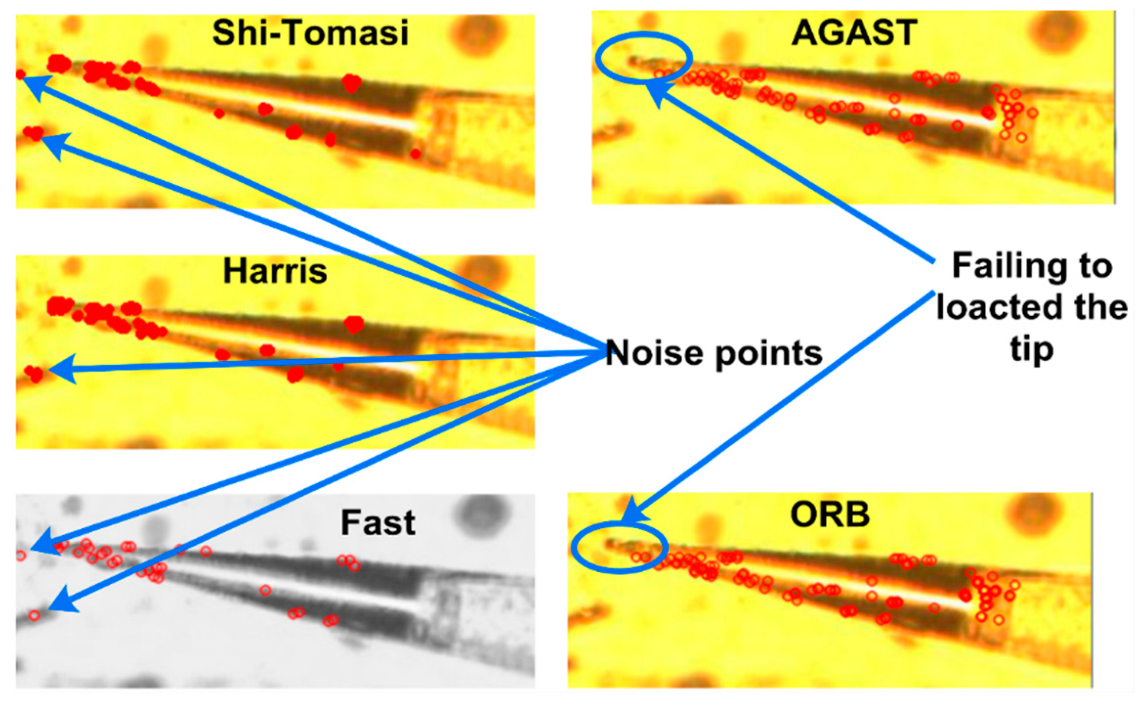 Algorithms 12 00238 g023