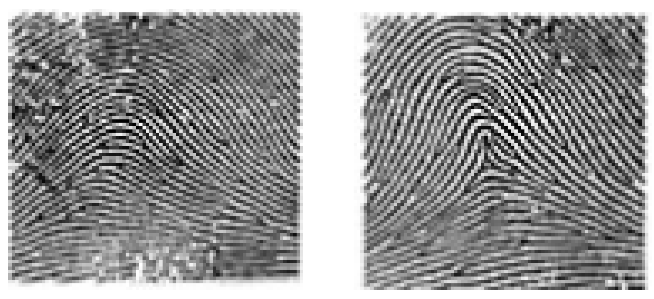 Algorithms 12 00241 g003