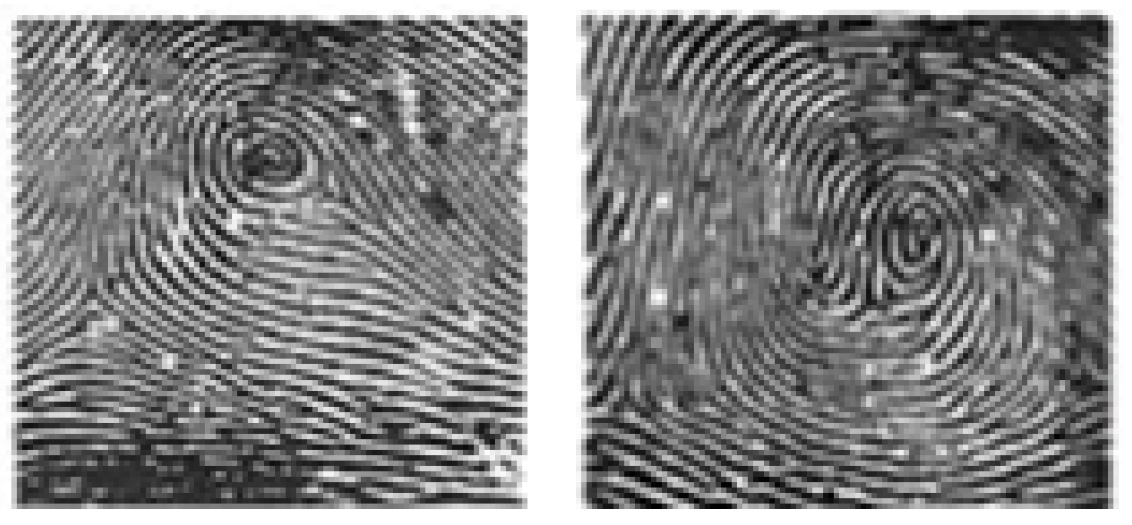 Algorithms 12 00241 g005