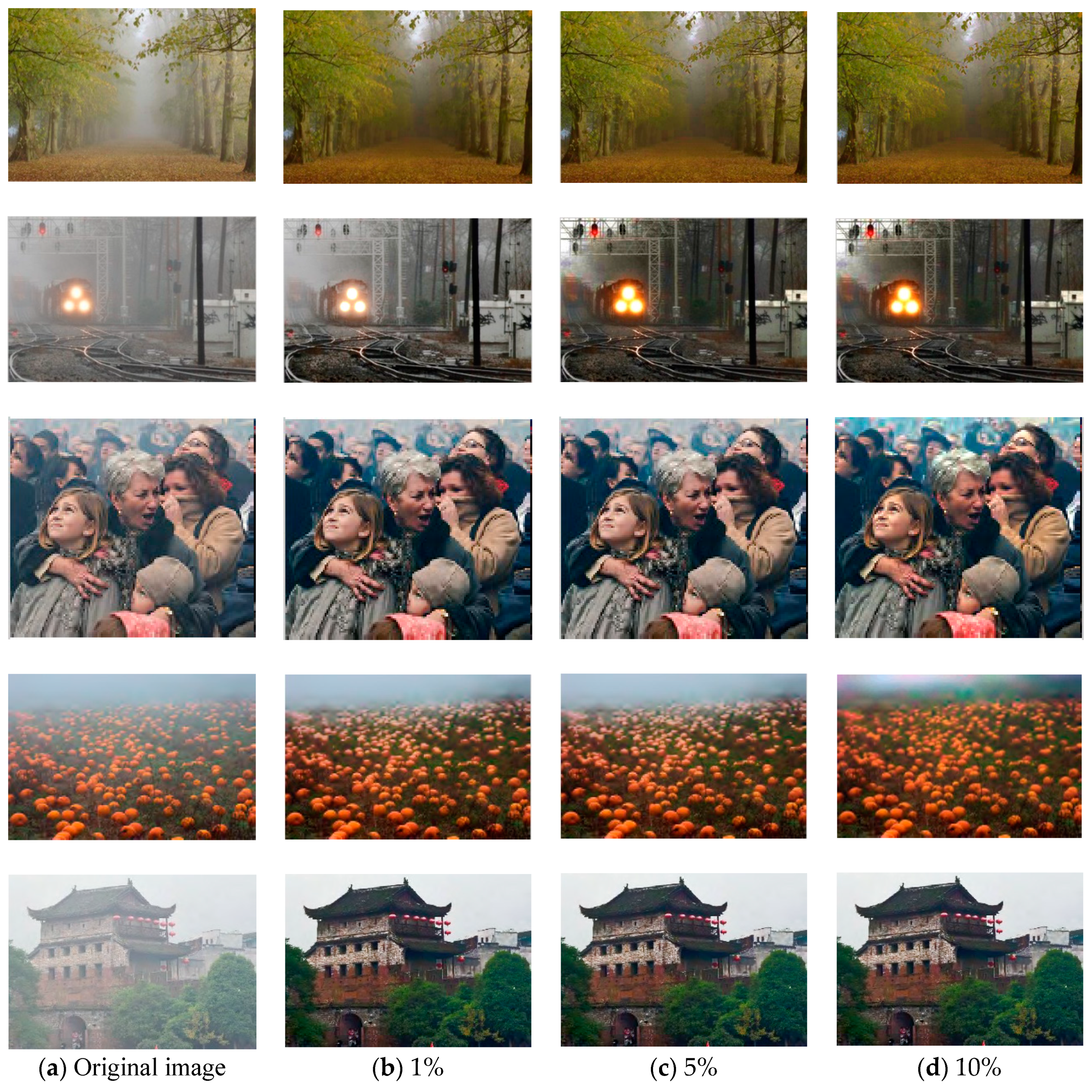 Algorithms 13 00045 g005