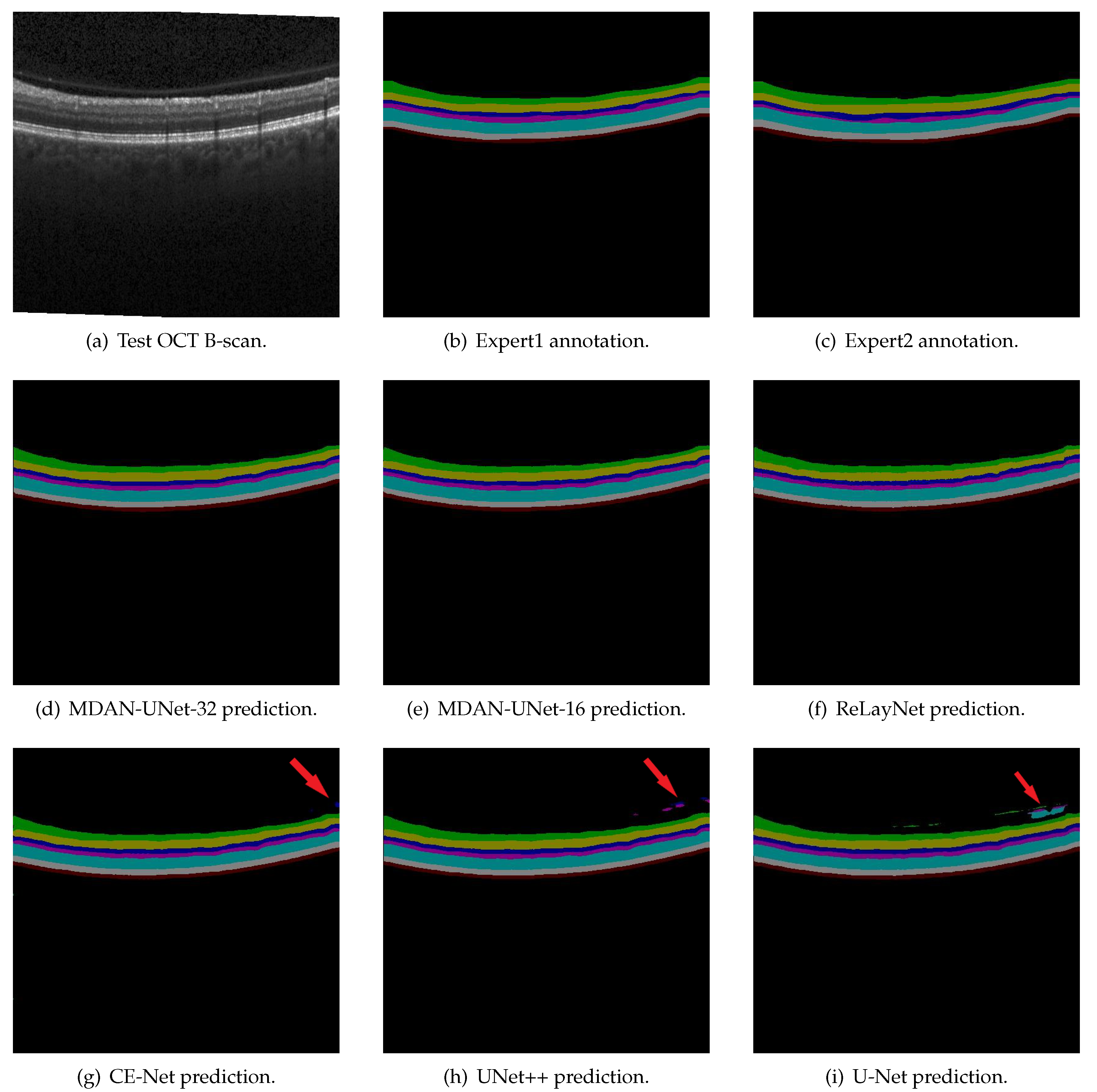 Algorithms 13 00060 g004