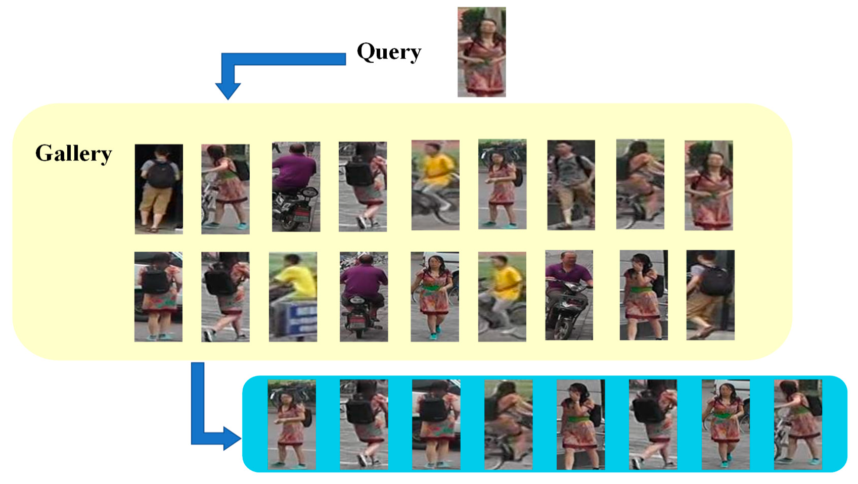 Algorithms 13 00111 g005