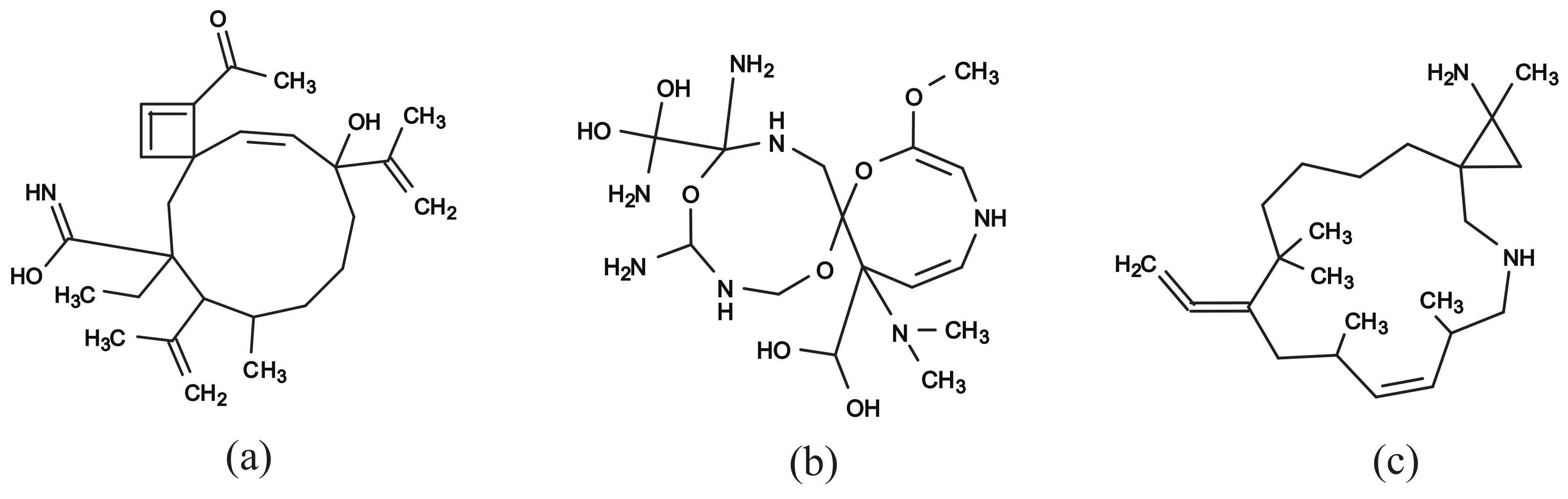 Algorithms 13 00124 g011 Algorithms 13 00124 g011
