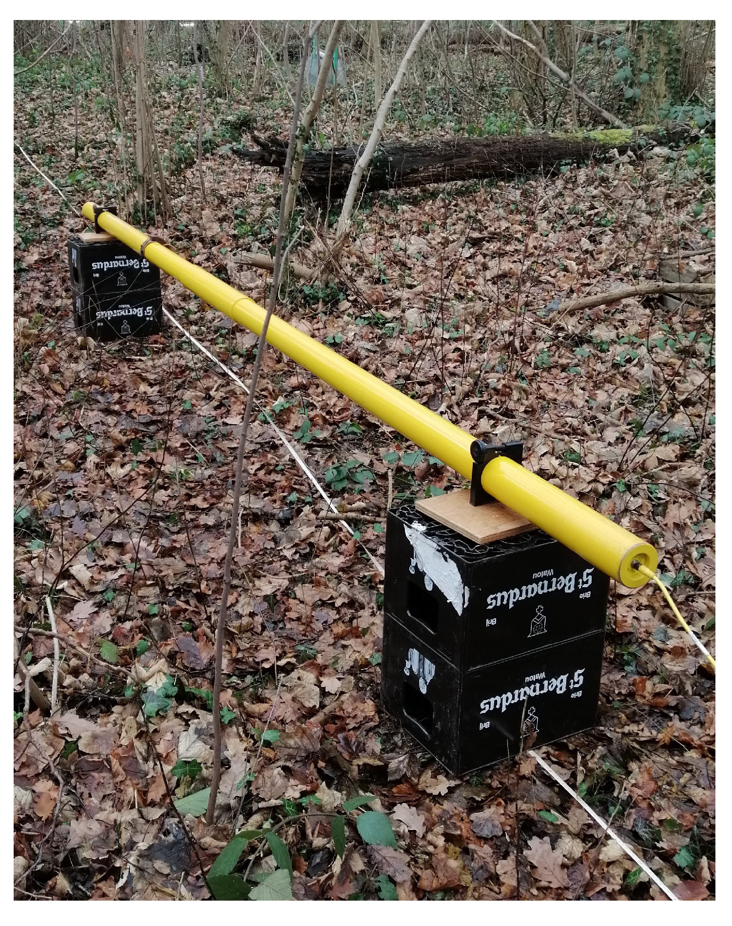 Algorithms 13 00144 g005